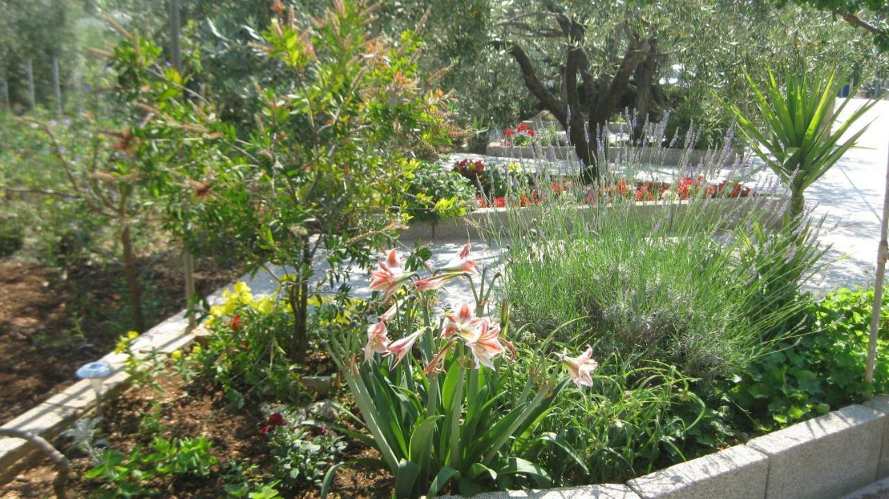 Apartments Maslina Trogir Luaran gambar
