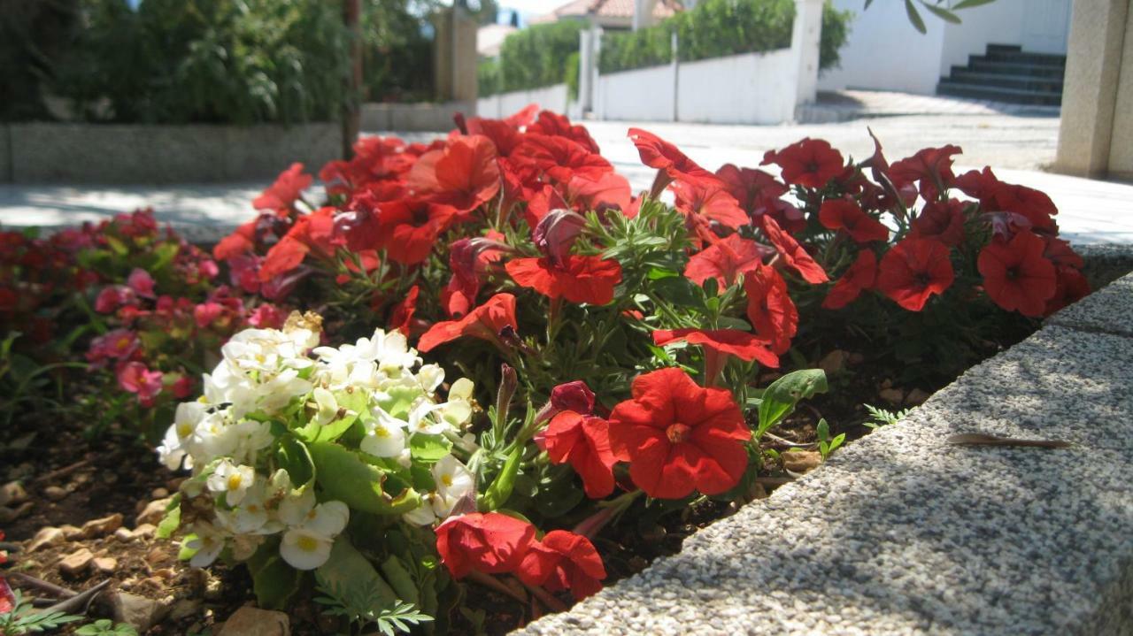 Apartments Maslina Trogir Luaran gambar