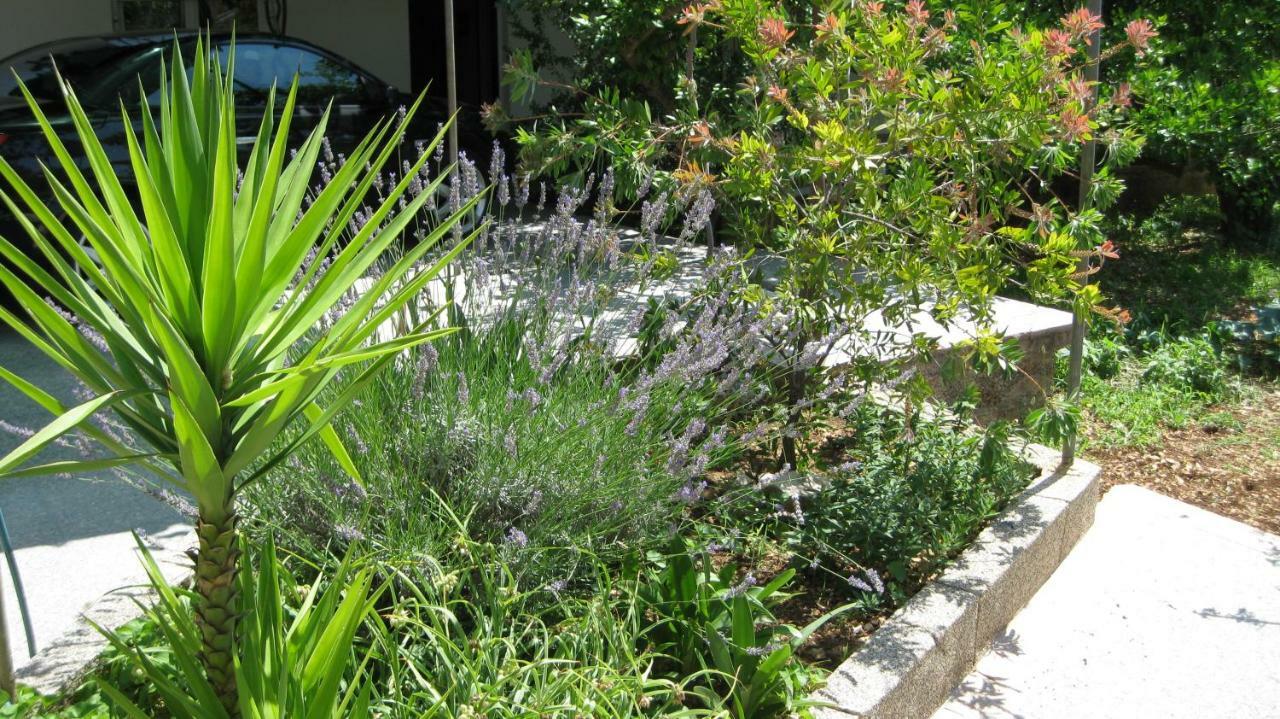 Apartments Maslina Trogir Luaran gambar